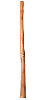 Natural Finish Flared Didgeridoo (TW1807)